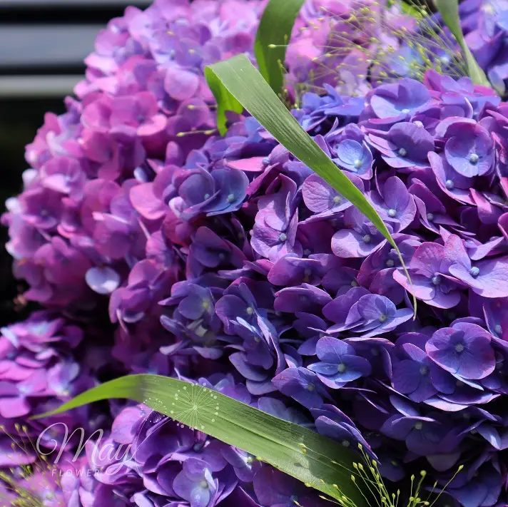 tinh-yeu-tham-lang-3