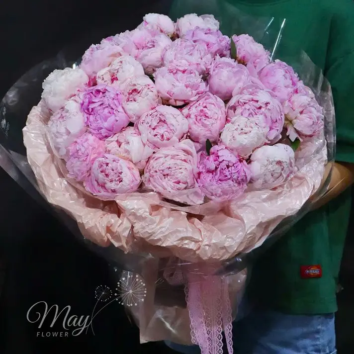 tinh-nhe-nhu-may
