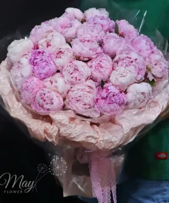 tinh-nhe-nhu-may