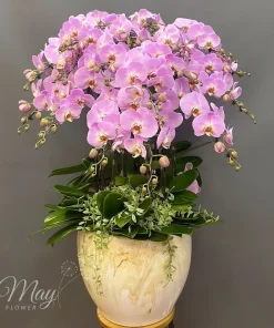 vuong-phat-thanh-cong