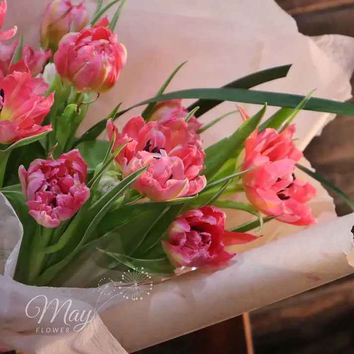 rang-ro-khoe-huong-moi-2