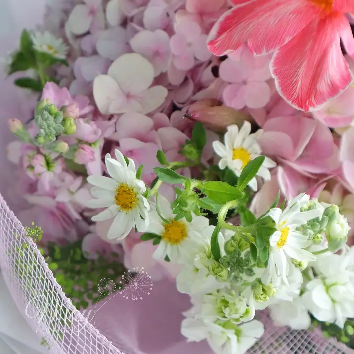 noi-tu-cau-khoe-sac-2