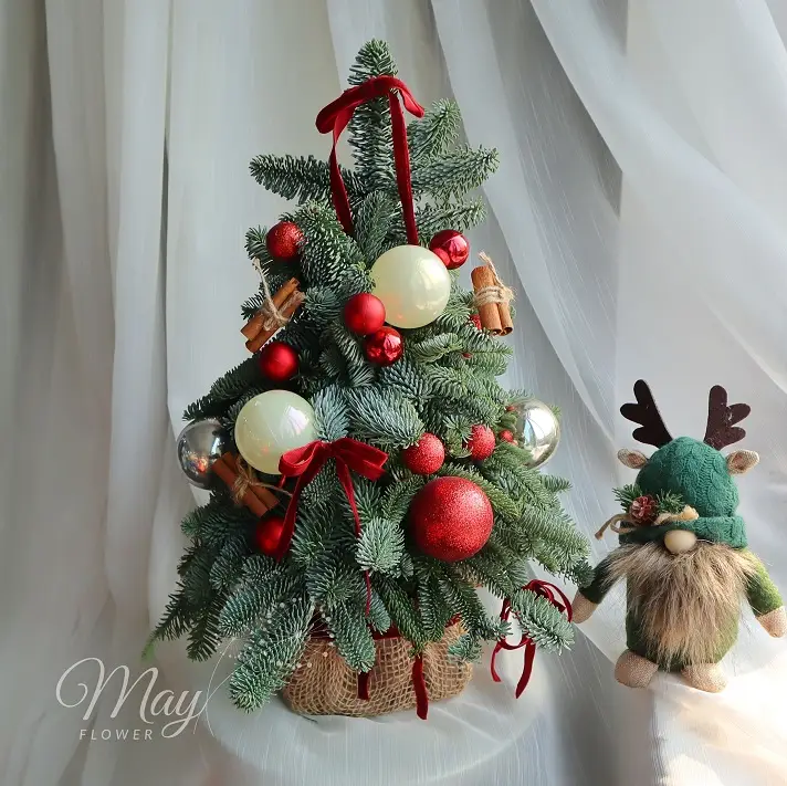 tieng-chuong-diu-dang-1