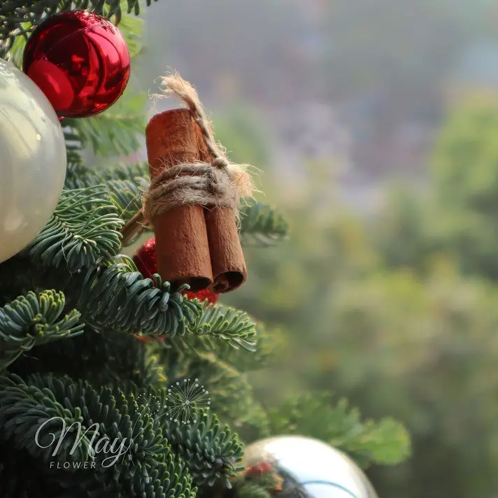 tieng-chuong-diu-dang-3