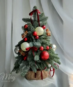 tieng-chuong-diu-dang