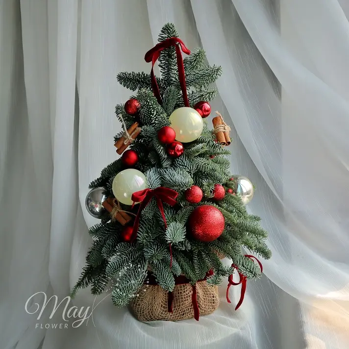 tieng-chuong-diu-dang