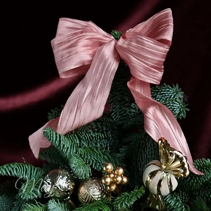 khuc-nhac-giang-sinh-3