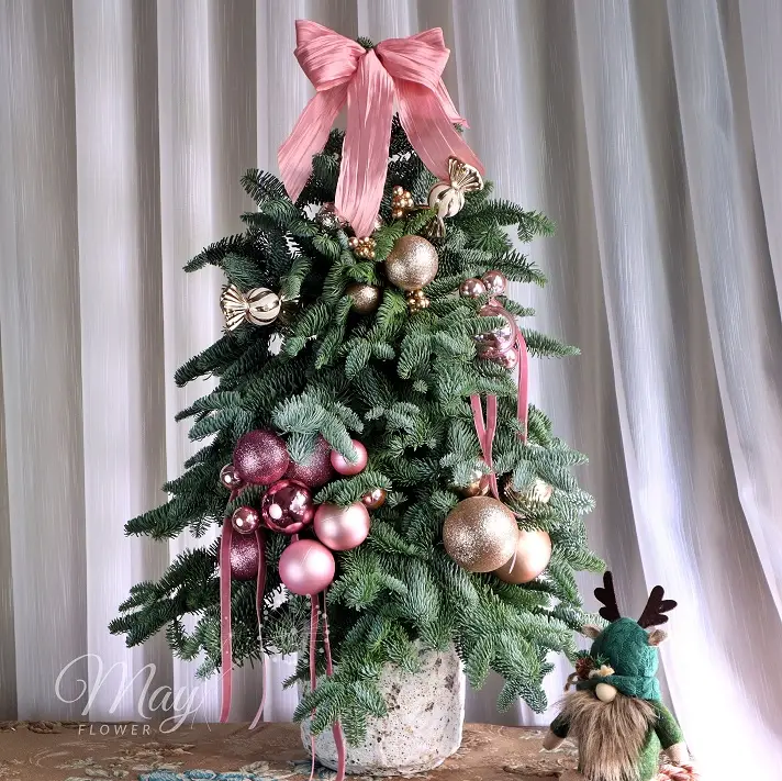 khuc-nhac-giang-sinh-1