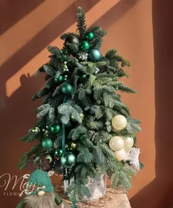 loi-thi-tham-cua-rung-1