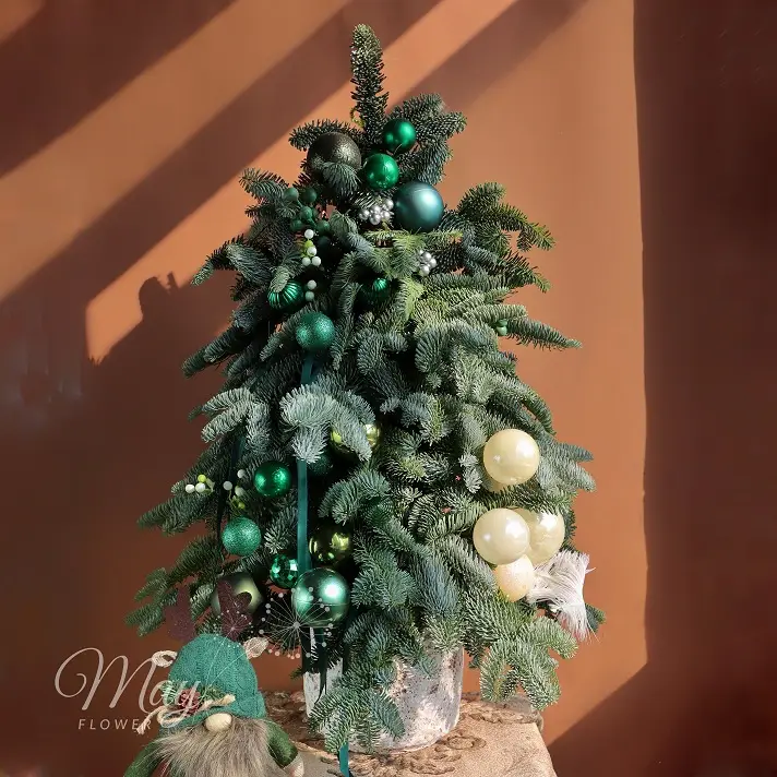 loi-thi-tham-cua-rung-1