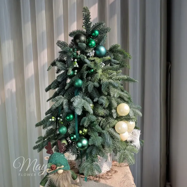 loi-thi-tham-cua-rung-2