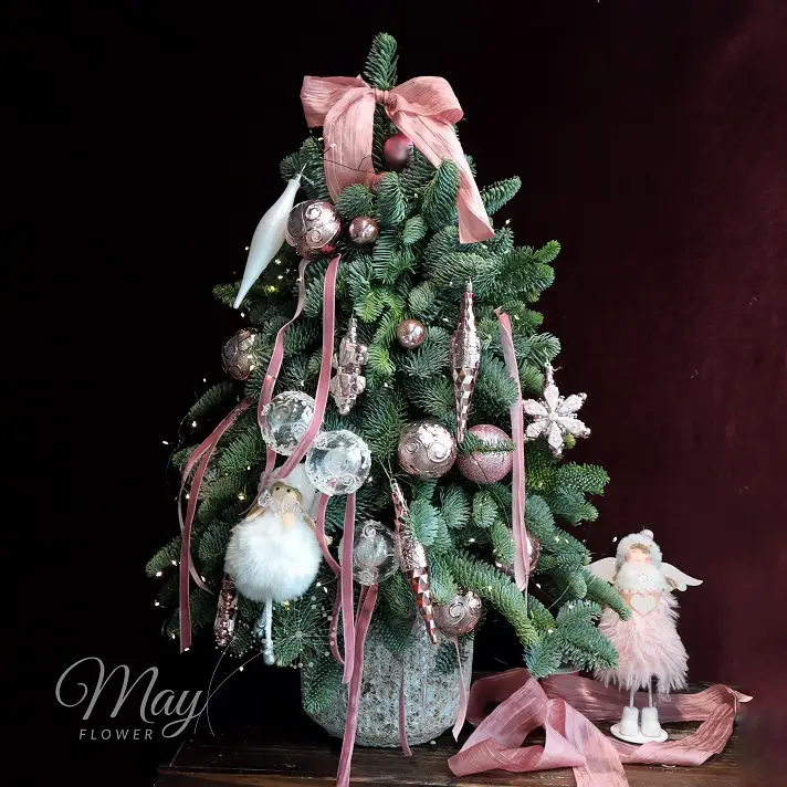 giang-sinh-yeu-thuong-1