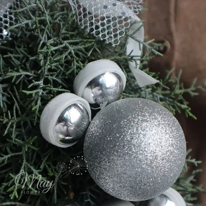 thong-nho-lung-linh-2