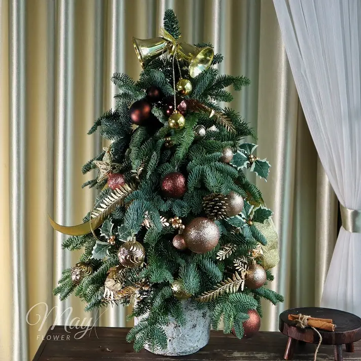 hanh-phuc-dem-dong-1