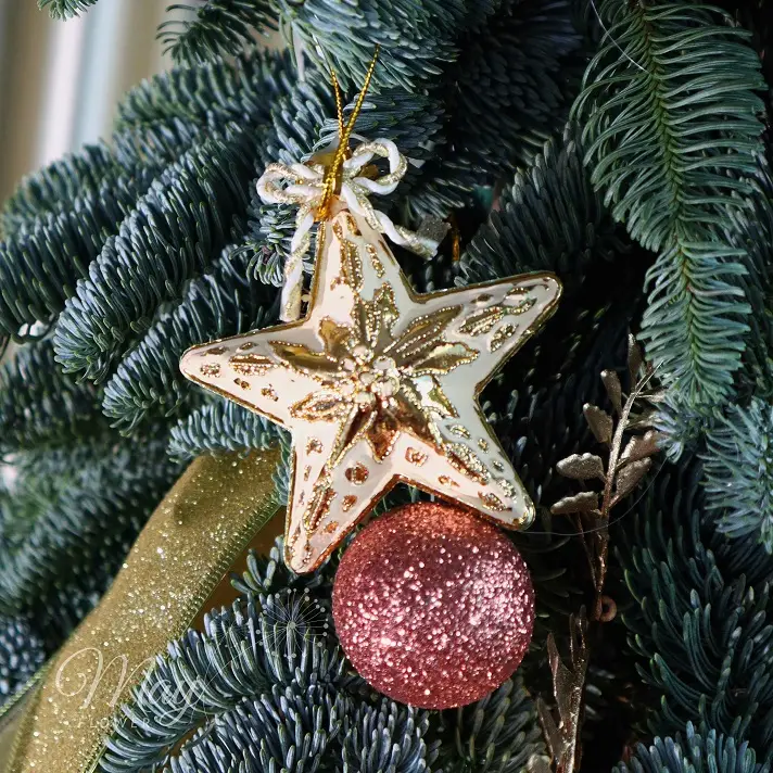 hanh-phuc-dem-dong-2