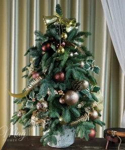 hanh-phuc-dem-dong-1