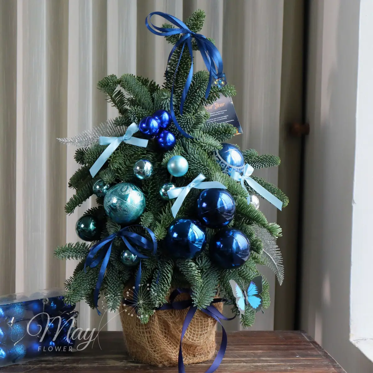 hoa-tuyet-giang-sinh