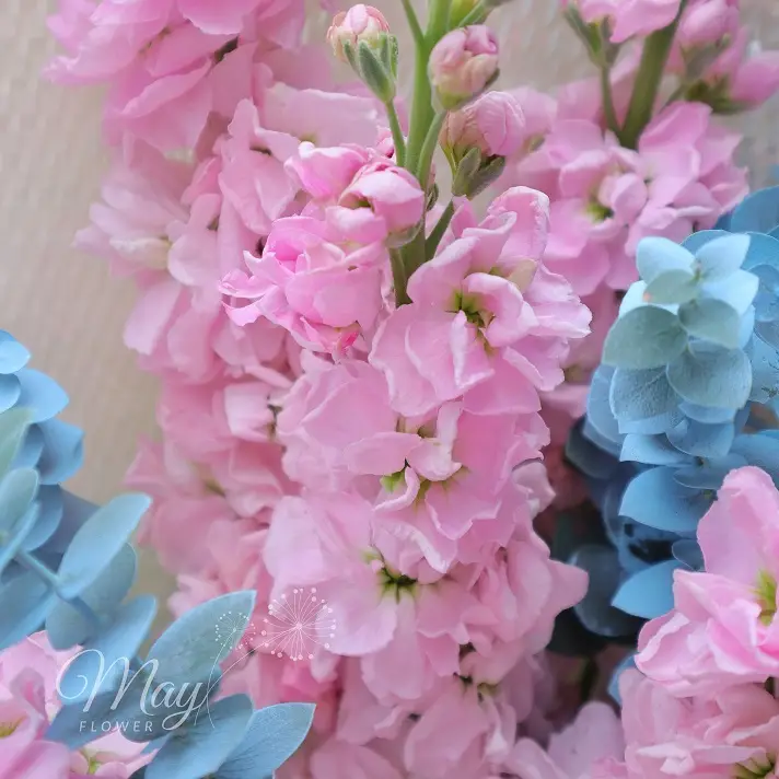 hong-trong-nang-som-2