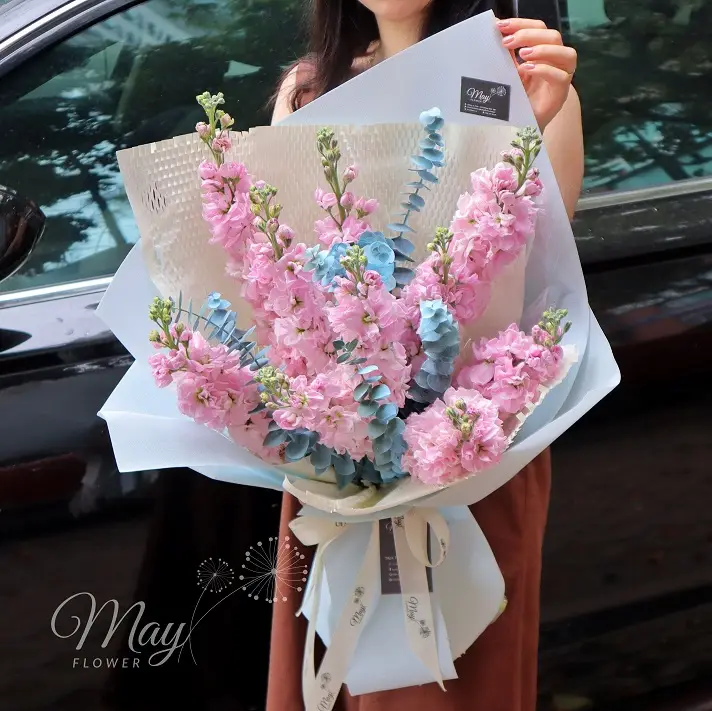 hong-trong-nang-som-3