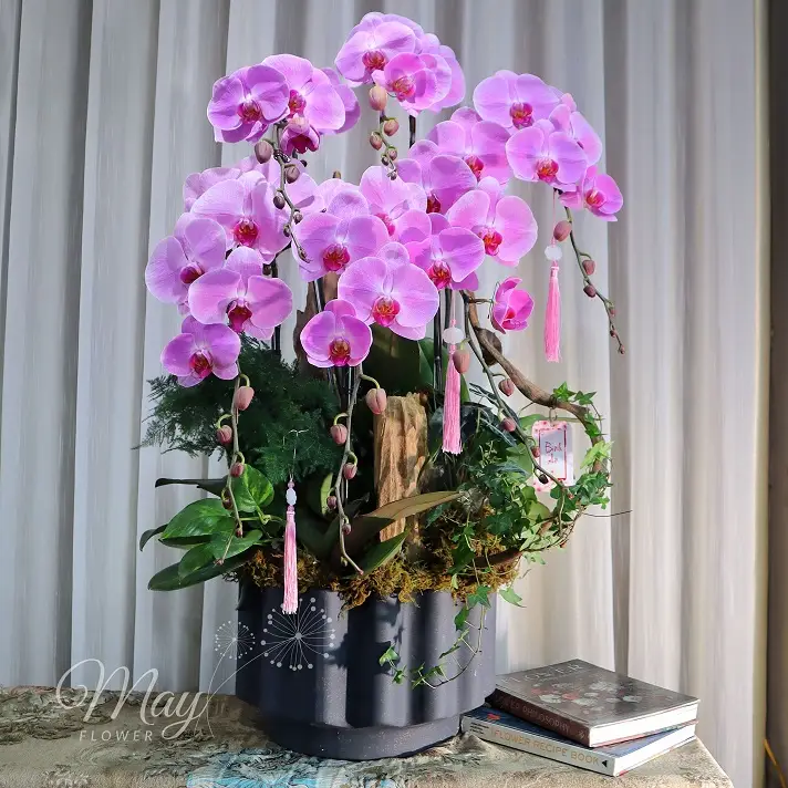 vuong-lan-cat-khanh-1