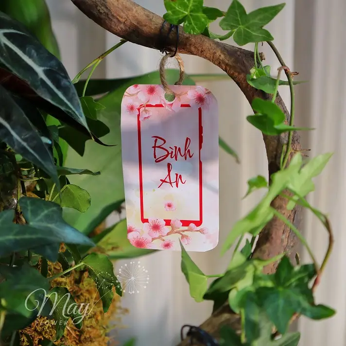 vuong-lan-cat-khanh-3