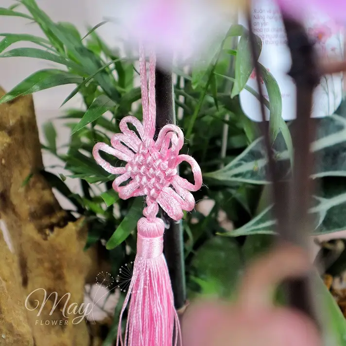 hong-diem-an-nhien-2