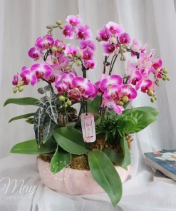 kim-lan-vuong-phat-1