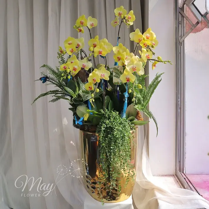 hoang-kim-khai-loc-1