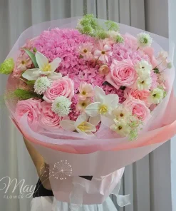 sac-hong-kieu
