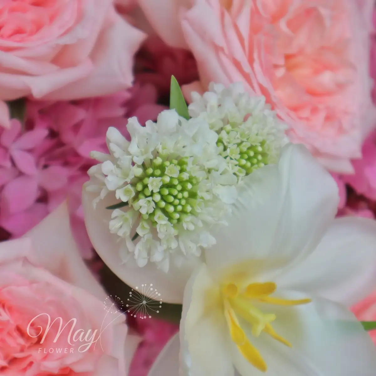 ngoc-hong-3