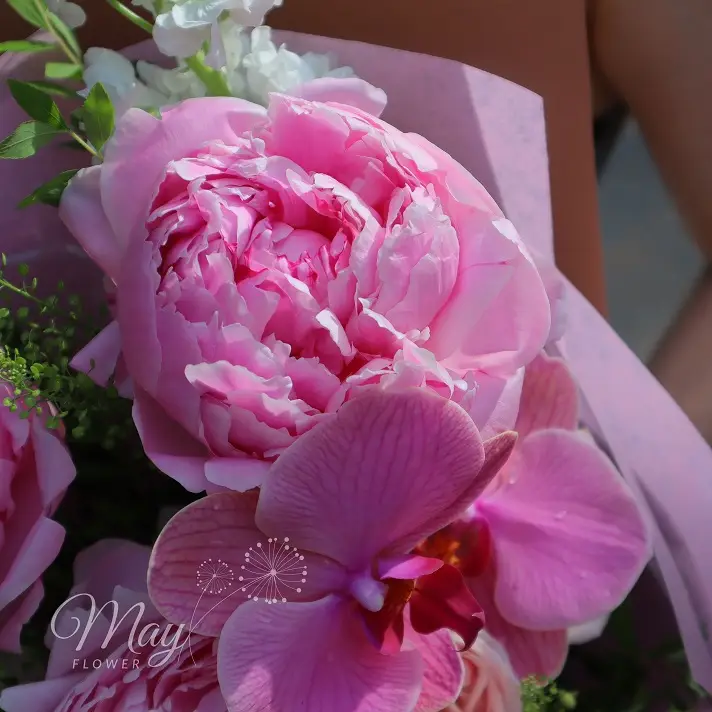 nang-tho-peony-2