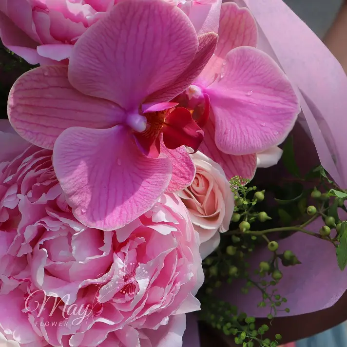 nang-tho-peony-3