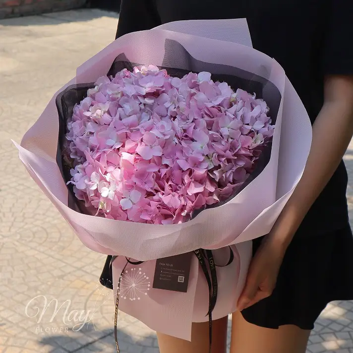 lua-hong-1