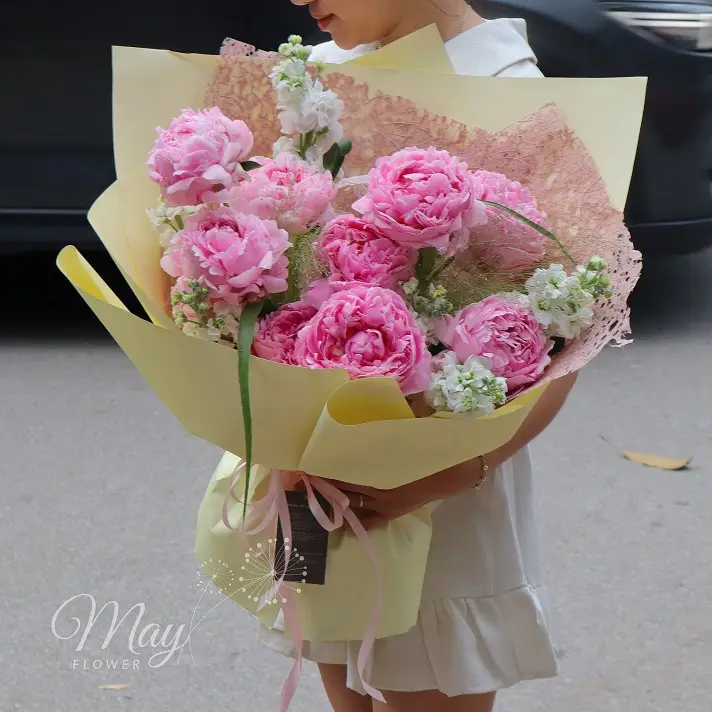 ang-may-hong