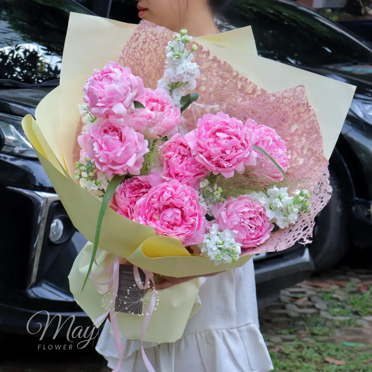 ang-may-hong-1