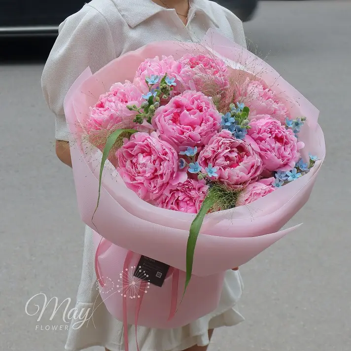 giac-mong-hong-1