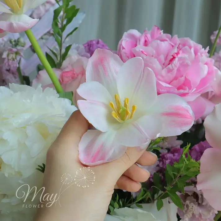 anh-may-hong-1