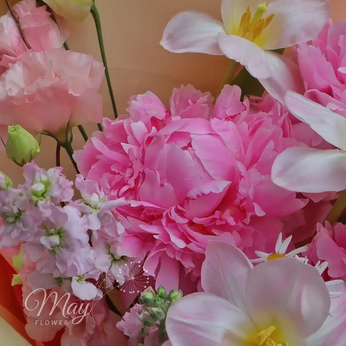 khuc-ca-mau-hong-2