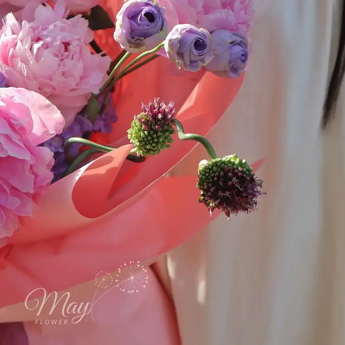 tua-may-hong-3