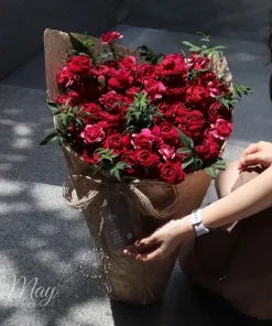 sac-ngoc-nga-2
