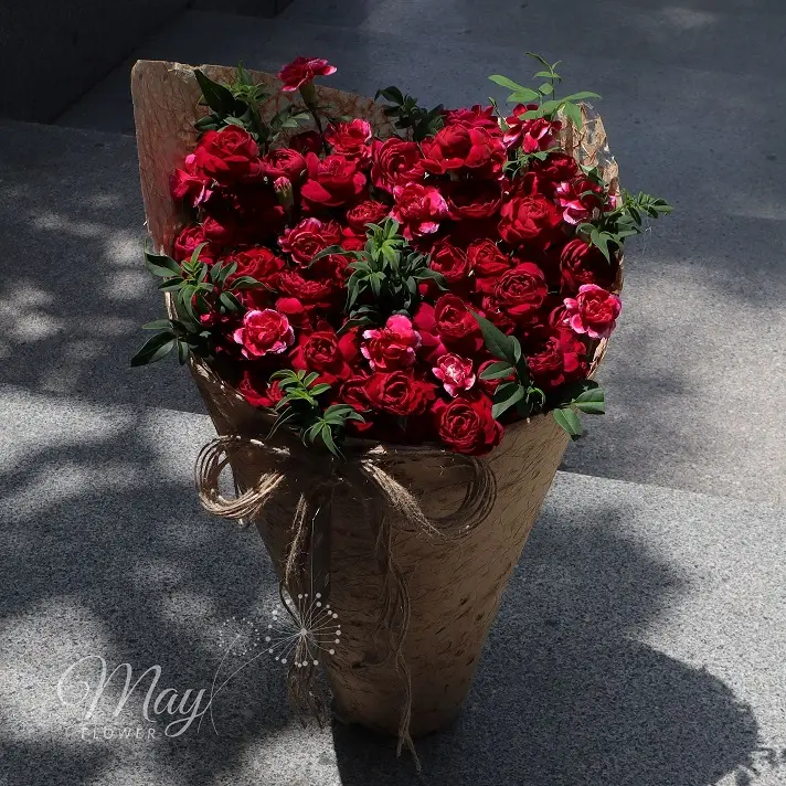 sac-ngoc-nga-2