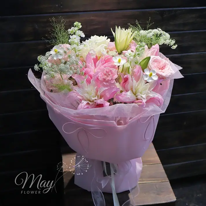 suong-khoi-may-2