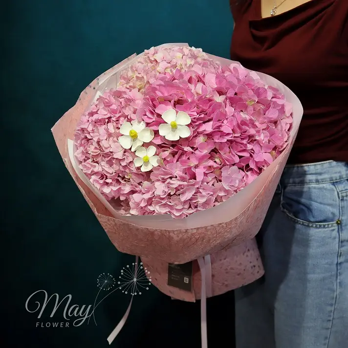 sac-hong-thanh