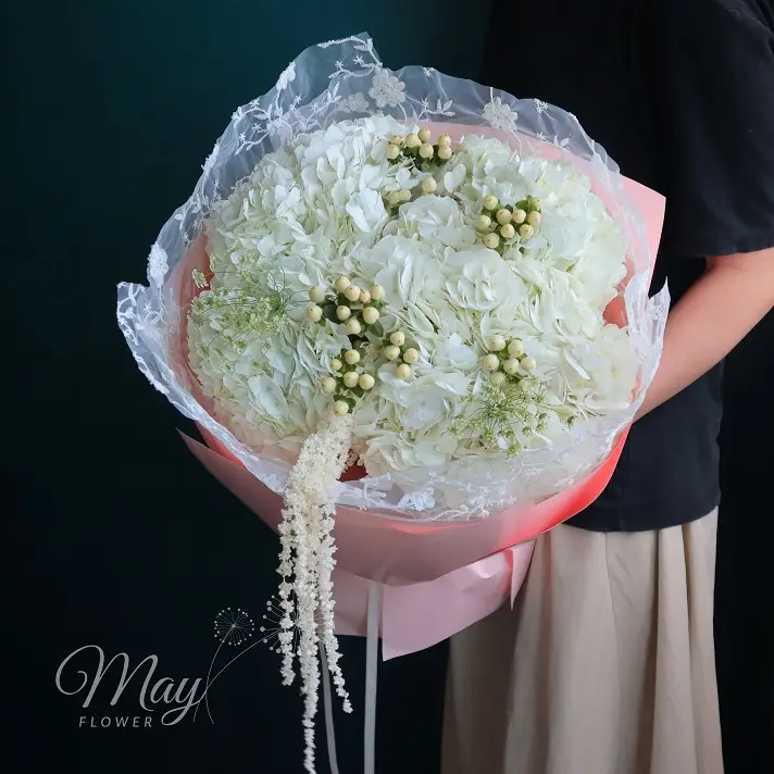 diem-sac-2