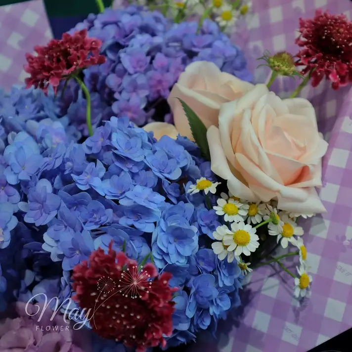 dieu-ta-thuong-3