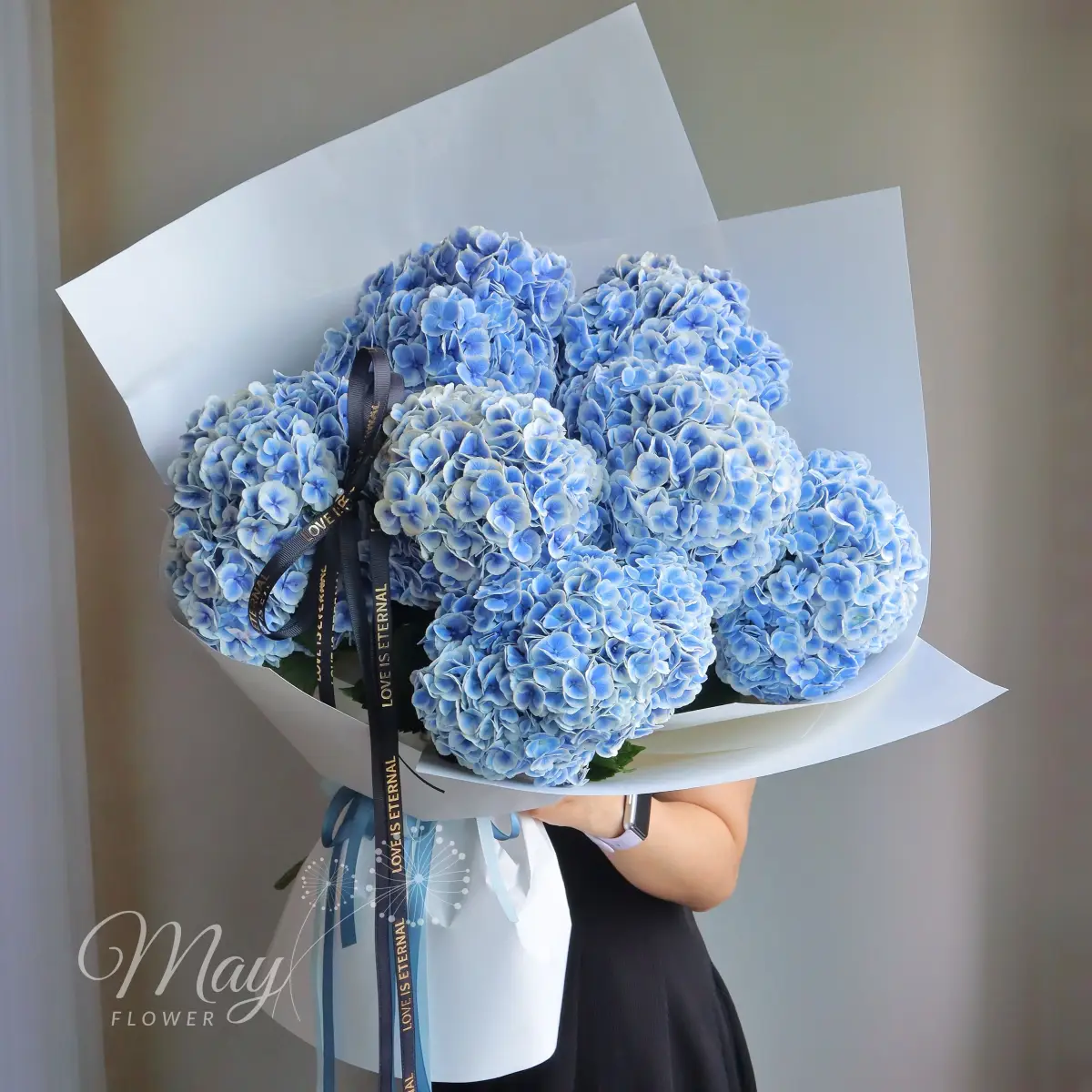 Cẩm tú cầu