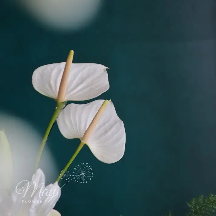 Bình hoa ly kép sang trong 
