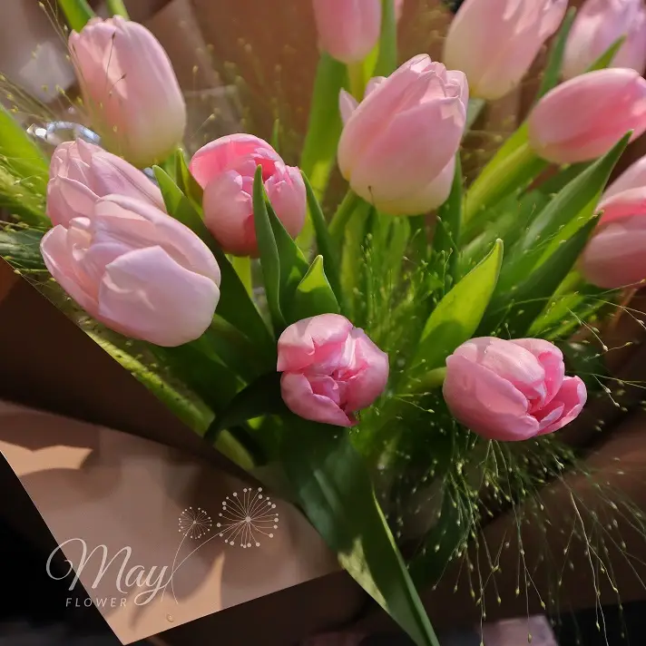 sac-hoa-diu-ngot-tulip