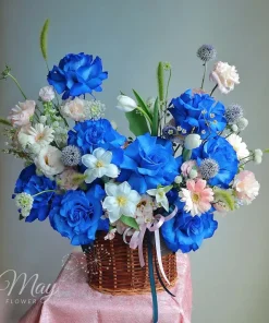 Giỏ hoa Ecuador Blue nhập khẩu