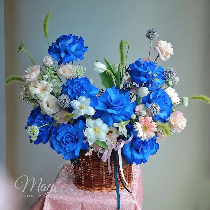 Giỏ hoa Ecuador Blue nhập khẩu